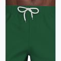 Men's swim shorts Nike Logo Lap 5" Volley malachite 6