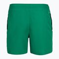 Men's swim shorts Nike Logo Lap 5" Volley malachite 9