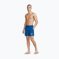 Men's swim shorts Nike Logo Lap 5" Volley game royal 6