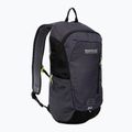 Hiking backpack REGATTA Highton V2 20 l black/seal 2