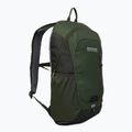 Hiking backpack REGATTA Highton V2 20 l dkkhk/frlfcl 2