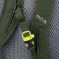 Hiking backpack REGATTA Highton V2 20 l dkkhk/frlfcl 7