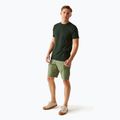 Men's REGATTA Ruwan fauna trekking shorts 2