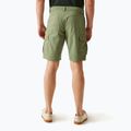 Men's REGATTA Ruwan fauna trekking shorts 3