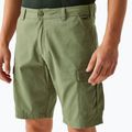Men's REGATTA Ruwan fauna trekking shorts 4