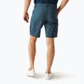 Men's REGATTA Ruwan midnight trekking shorts 3