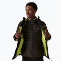 Men's 3-in-1 jacket REGATTA Wentwood IX nephrite green/black 6