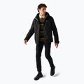 Men's down jacket REGATTA Frelton black 2