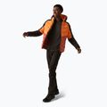 Men's REGATTA Hooded Dalent down jacket fox/red ochre 2