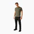 Men's trekking T-shirt REGATTA Fingal Edition abbeystone 2