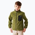 Children's sweatshirt REGATTA Junior Frankie Full Zip nephrite green