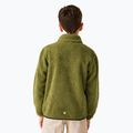 Children's sweatshirt REGATTA Junior Frankie Full Zip nephrite green 3