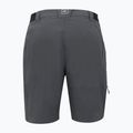 Women's shorts REGATTA Travel Light Packaway II seal grey 2