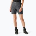 Women's trekking shorts REGATTA Chaska III seal grey