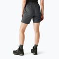 Women's trekking shorts REGATTA Chaska III seal grey 3