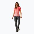Women's REGATTA Laxley II peach bloom ombre T-shirt 2