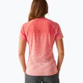 Women's REGATTA Laxley II peach bloom ombre T-shirt 3