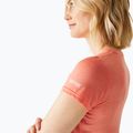 Women's T-shirt Regatta Fingal Edition peach bloom 4