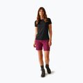 Women's trekking shorts REGATTA Mountain II beaujolais 2