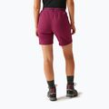 Women's trekking shorts REGATTA Mountain II beaujolais 3