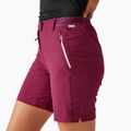 Women's trekking shorts REGATTA Mountain II beaujolais 4