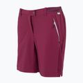Women's trekking shorts REGATTA Mountain II beaujolais 7