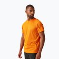 Men's T-shirt REGATTA Virda IV fox