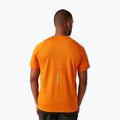 Men's T-shirt REGATTA Virda IV fox 3