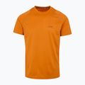 Men's T-shirt REGATTA Virda IV fox 5