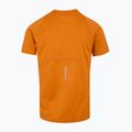Men's T-shirt REGATTA Virda IV fox 6
