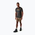 Men's trekking T-shirt REGATTA Fingal IX ash marl 2