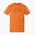 Men's trekking T-shirt REGATTA Breezed V fox