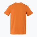Men's trekking T-shirt REGATTA Breezed V fox 2