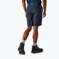 Men's trekking shorts REGATTA Eldes moonlight denim/navy 3