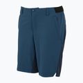 Men's trekking shorts REGATTA Eldes moonlight denim/navy 7