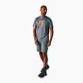 Men's trekking shorts REGATTA Eldes stormy weather/ash 2
