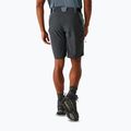 Men's trekking shorts REGATTA Eldes stormy weather/ash 3