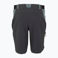Men's trekking shorts REGATTA Eldes stormy weather/ash 6