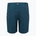 Men's trekking shorts REGATTA Leesville III moonlight denim 7