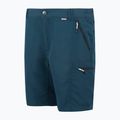 Men's trekking shorts REGATTA Leesville III moonlight denim 8
