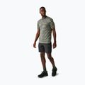 Men's trekking shorts REGATTA Leesville III ash 2