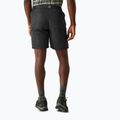 Men's trekking shorts REGATTA Leesville III ash 3
