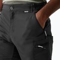 Men's trekking shorts REGATTA Leesville III ash 4