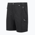 Men's trekking shorts REGATTA Leesville III ash 7