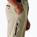 Men's trekking shorts REGATTA Leesville III golden sand 4