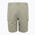 Men's trekking shorts REGATTA Leesville III golden sand 6