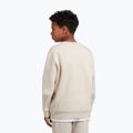 Children's sweatshirt New Balance Brush Back Small Logo Crew timberwolf 3