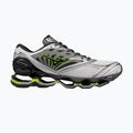 Shoes Mizuno Wave Prophecy LS cloudscape/green glow/silver