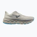 Men's running shoes Mizuno Wave Horizon 9 foggy dew/dark slate/blue jewel
