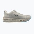 Men's running shoes Mizuno Wave Horizon 9 foggy dew/dark slate/blue jewel 2